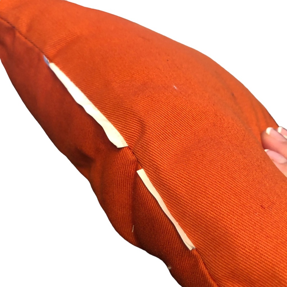 We’re Nuts For Fall Squirrel Decor Pillows - Picture 5 of 11